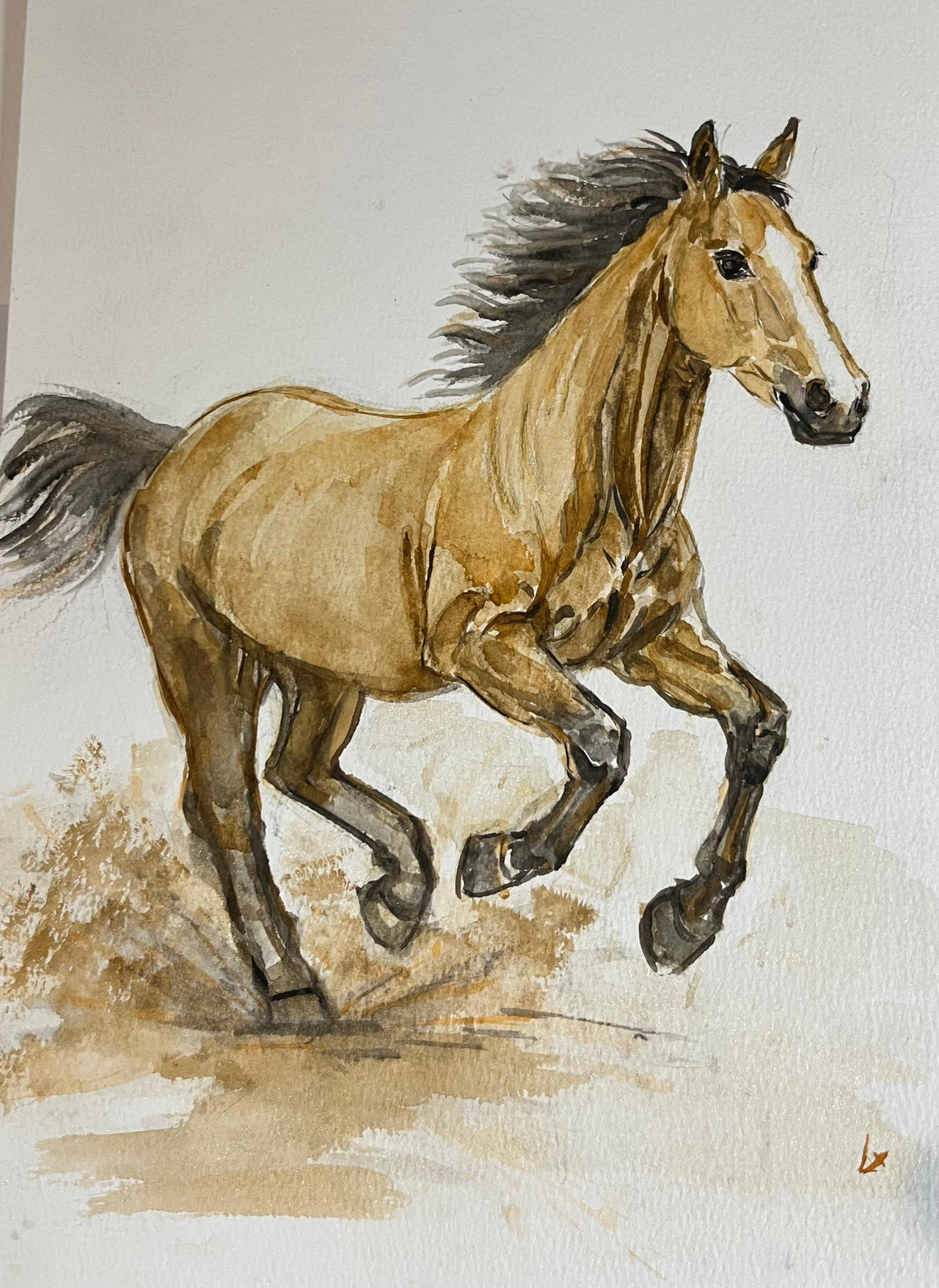 Gallop